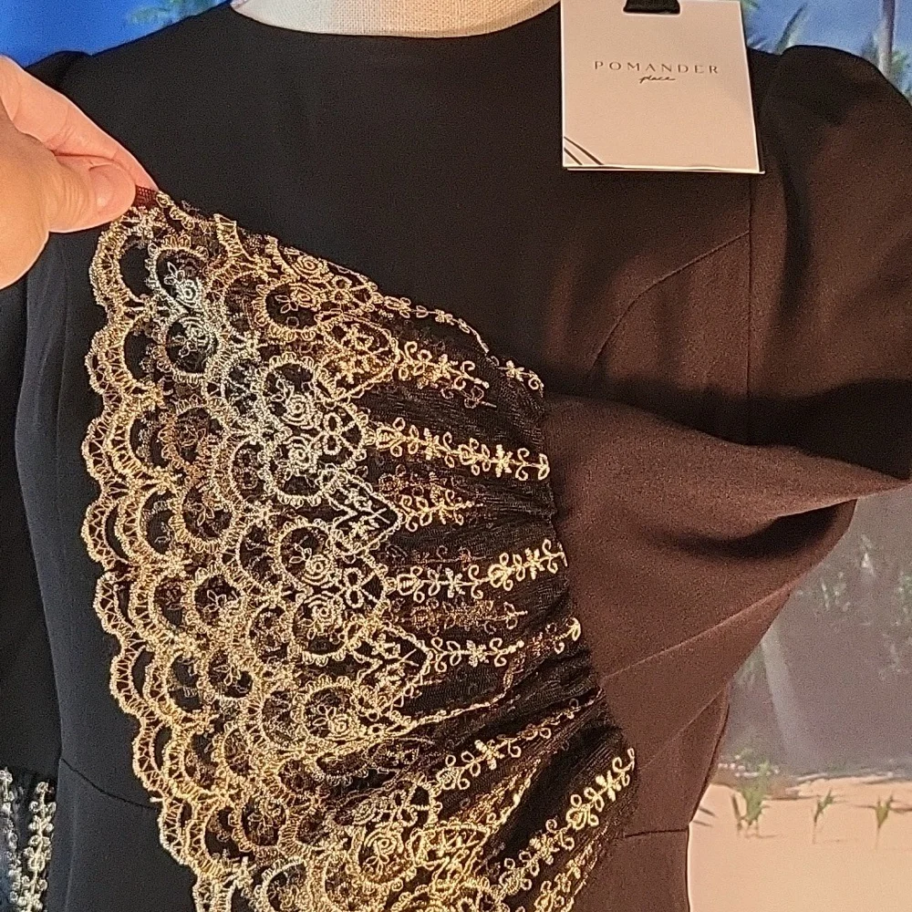 Pomander Place Black Lillith Dress Numerous Sizes - Picture 6 of 10